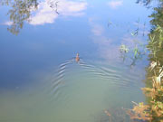 SIC Lago d'Idro